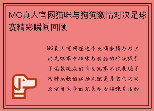 MG真人官网猫咪与狗狗激情对决足球赛精彩瞬间回顾
